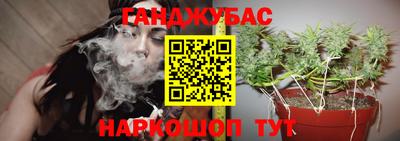 спиды Кандалакша